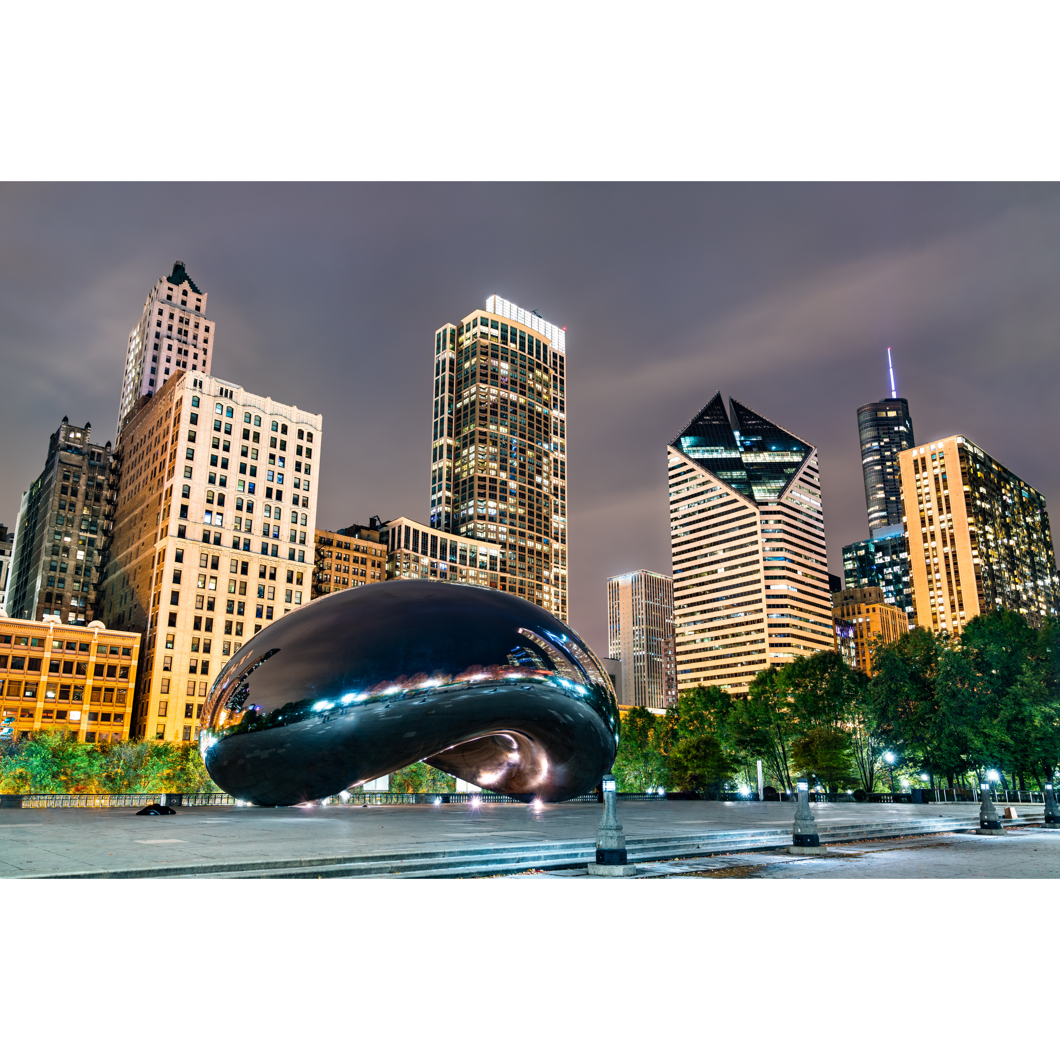 Chicago Illinois Skyline and Bean